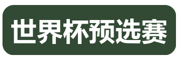 世界杯预选赛