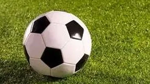 曼奇尼加盟沙特队，四年高薪合约2500万欧震撼启动！